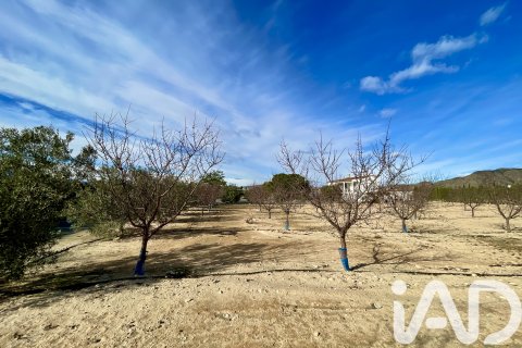 Hus till salu i Blanca, Murcia, Spanien 3 sovrum, 204 kvm. Nr. 173234 - foto 16