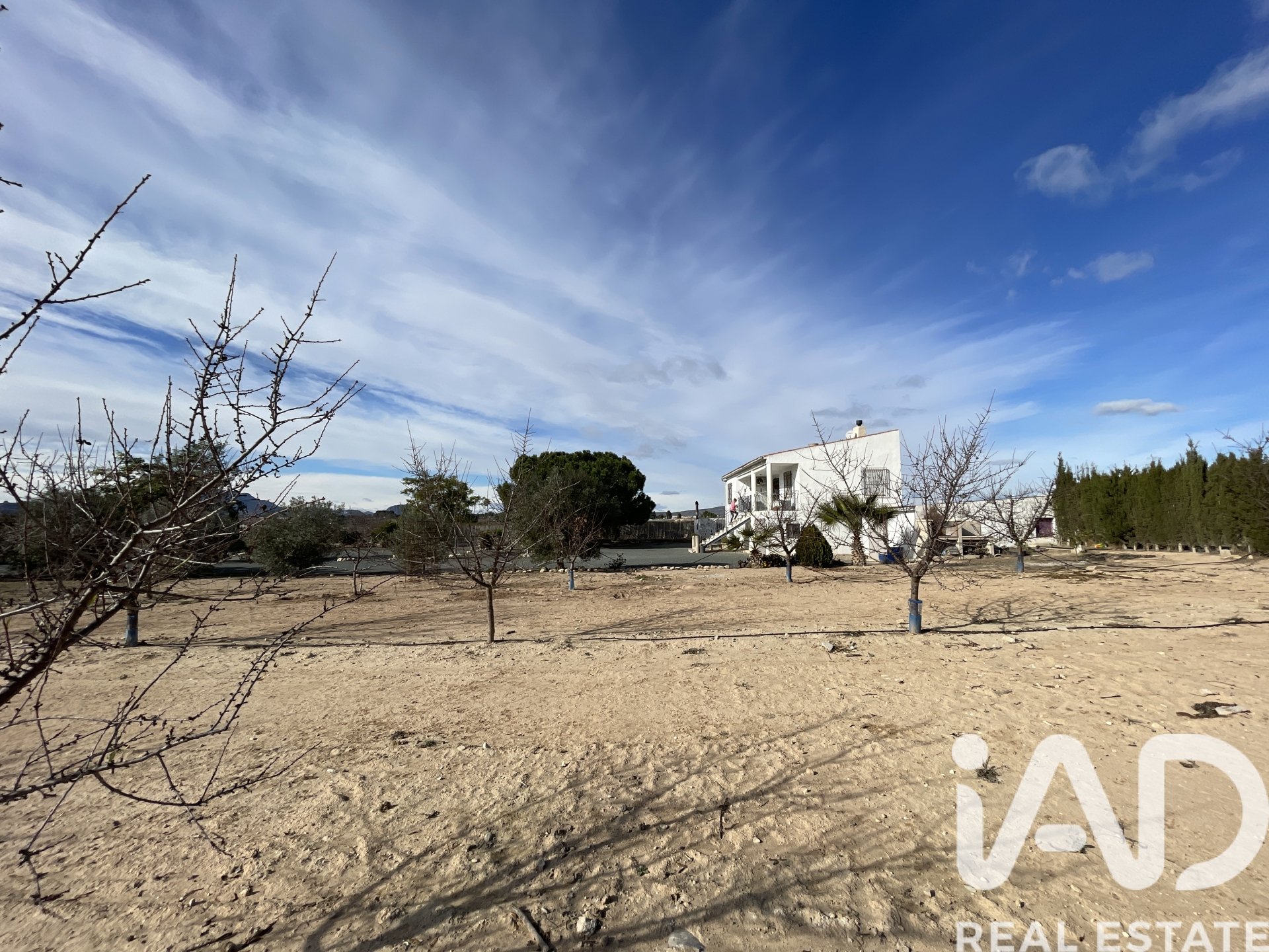 House in Blanca, Murcia, Spanien 3 Schlafzimmer, 204 m2 Nr. 173234