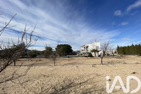 Hus till salu i Blanca, Murcia, Spanien 3 sovrum, 204 kvm. Nr. 173234 - foto 17