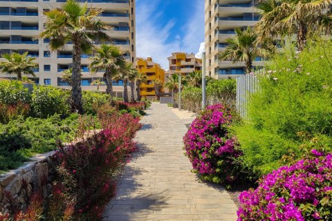 Appartamento in affitto a Punta Prima, Alicante, Spagna 2 camere da letto, 81 mq. N° 144727 - foto 24