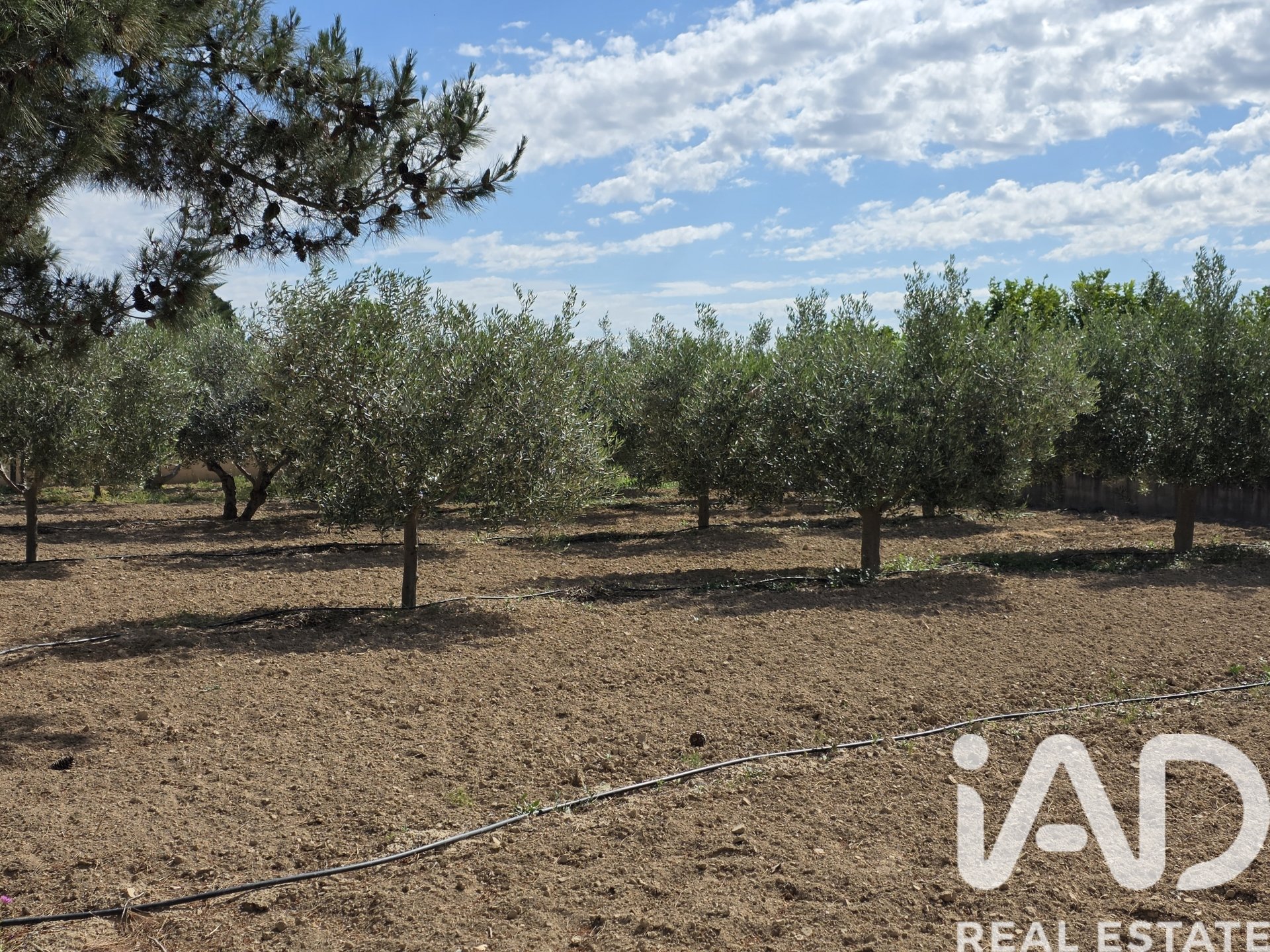 House in Librilla, Murcia, Spain 1 bedroom, 60 sq.m. No. 184785