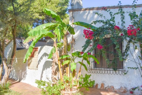 Villa in vendita Punta Prima, Alicante, Spagna 4 camere da letto, 150 mq. N° 136955 - foto 15