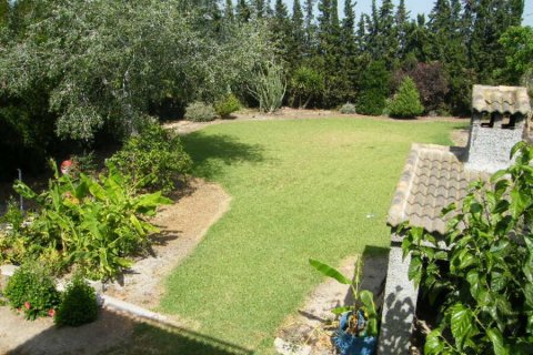 Villa for sale Daya Nueva, Alicante, Spain 4 bedrooms, 370 sq.m. No. 115181 - photo 15