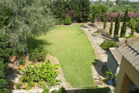 Villa for sale Daya Nueva, Alicante, Spain 4 bedrooms, 370 sq.m. No. 115181 - photo 26
