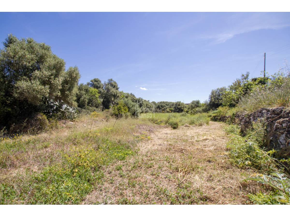 Hus i Ciutadella De Menorca, Menorca, Spanien 4 sovrum, 153 kvm. Nr. 67639