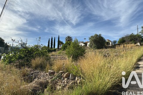 Terreno in vendita a Denia, Alicante, Spagna 990 mq. N° 172598 - foto 8