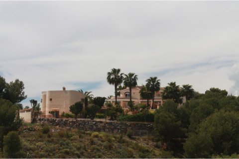 Villa pārdošanā L'Alfàs del Pi, Alicante, Spānijā 5 istabas, 1000 m2 Nr. 165261 - attēls 11
