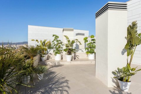 Penthouse w Barcelona, Hiszpania 4 sypialnie, 309 mkw. nr 150868 – zdjęcie 6