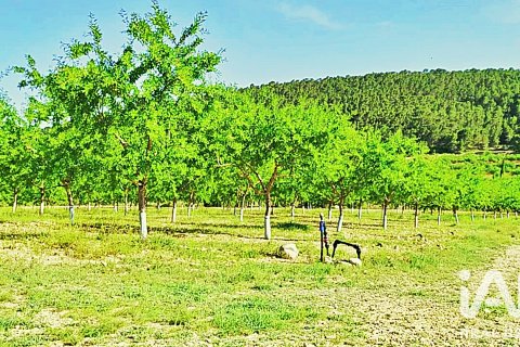 Parcela en venta en La Romana, Alicante, España 10339 m2 No. 187990 - foto 2