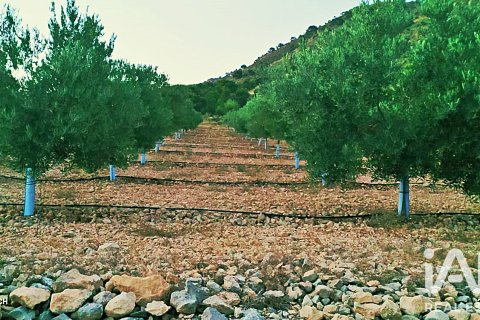 Parcela en venta en La Romana, Alicante, España 10339 m2 No. 187990 - foto 13