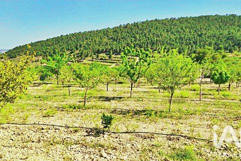 Parcela en venta en La Romana, Alicante, España 10339 m2 No. 187990 - foto 26