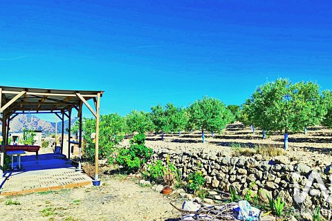 Parcela en venta en La Romana, Alicante, España 10339 m2 No. 187990 - foto 9