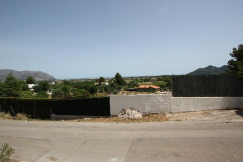Land plot à vendre à Pedreguer, Alicante, EspagneNo. 183939 - photo 2