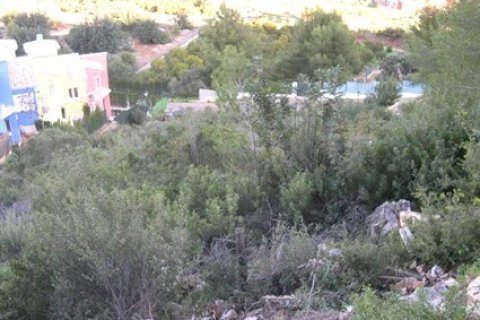 Land plot à vendre à Pedreguer, Alicante, EspagneNo. 183939 - photo 7