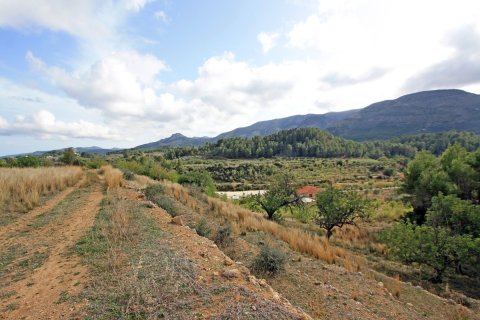 Land plot for sale in Murla, Alicante, Spain No. 183937 - photo 3