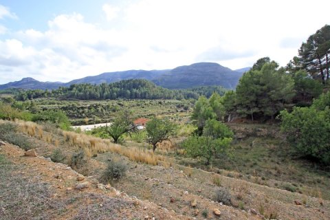Land plot for sale in Murla, Alicante, Spain No. 183937 - photo 2