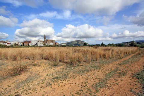 Land plot for sale in Murla, Alicante, Spain No. 183937 - photo 6