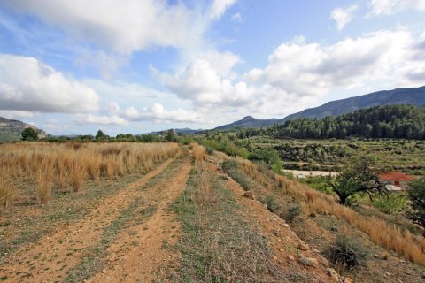 Land plot for sale in Murla, Alicante, Spain No. 183937 - photo 4