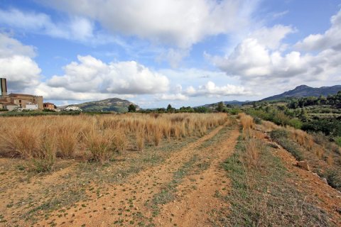 Land plot for sale in Murla, Alicante, Spain No. 183937 - photo 5
