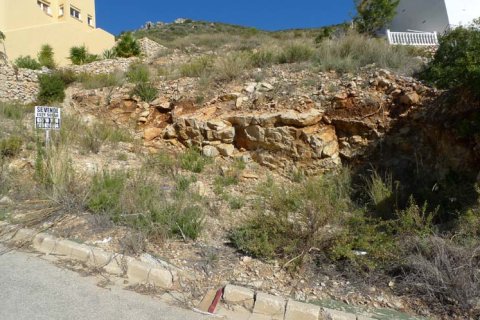 Land zum Verkauf in Jalon, Alicante, Spanien Nr. 183938 - Foto 5