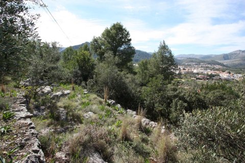 Terreno in vendita a Orba, Alicante, Spagna N° 183940 - foto 3