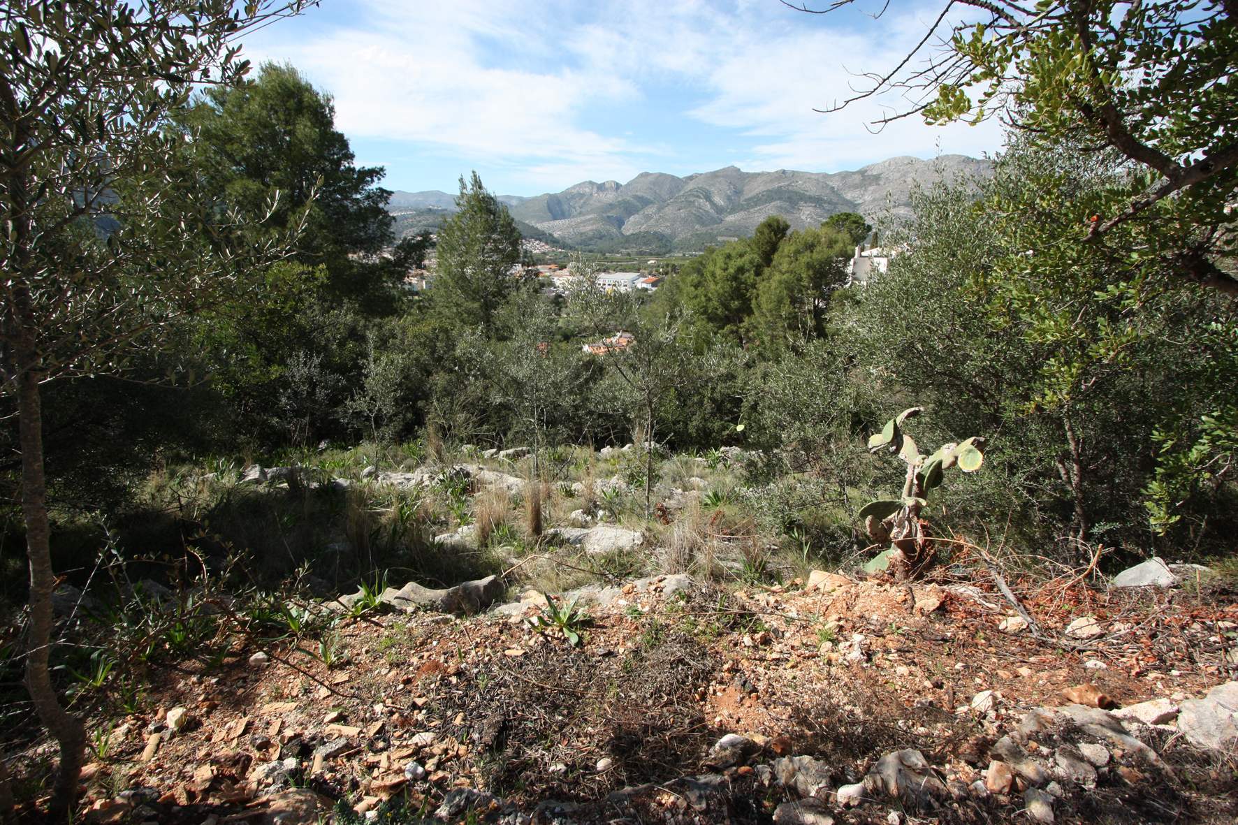 Land plot in Orba, Alicante, Spain No. 183940