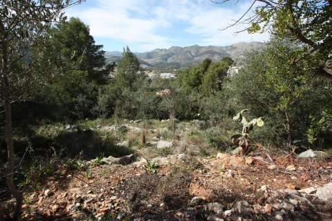 Terreno in vendita a Orba, Alicante, Spagna N° 183940 - foto 11