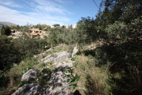 Terreno in vendita a Orba, Alicante, Spagna N° 183940 - foto 2
