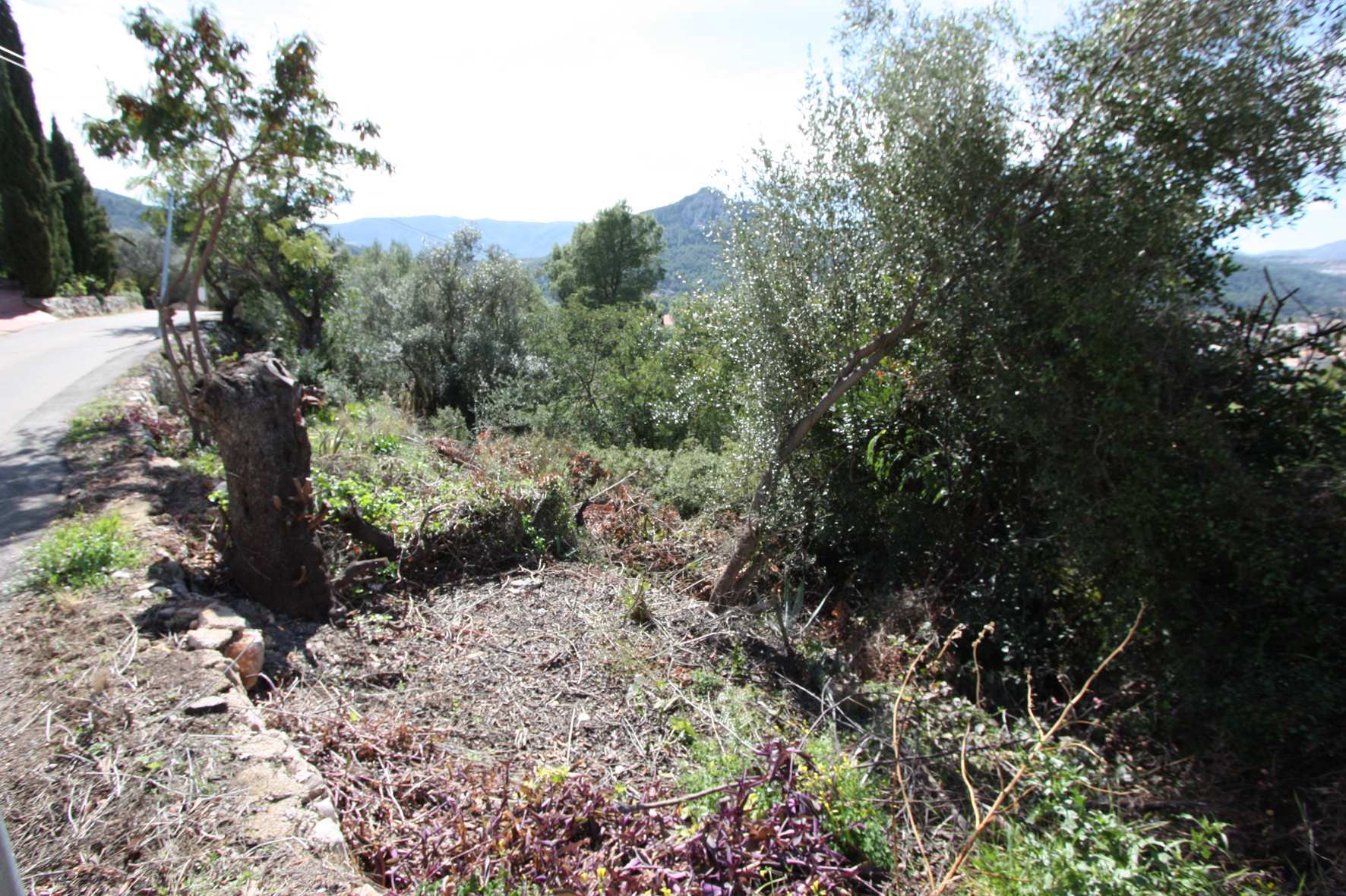 Land plot in Orba, Alicante, Spain No. 183940