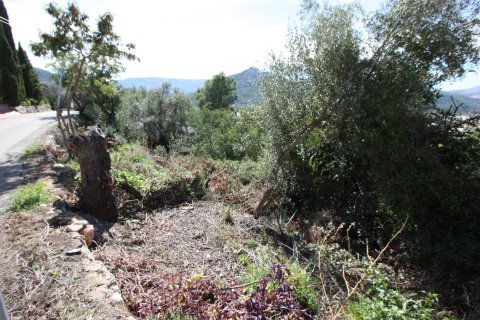 Terreno in vendita a Orba, Alicante, Spagna N° 183940 - foto 8