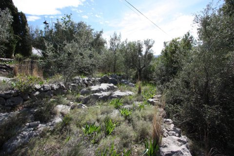 Terreno in vendita a Orba, Alicante, Spagna N° 183940 - foto 7