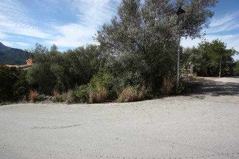 Terreno in vendita a Orba, Alicante, Spagna N° 183940 - foto 9