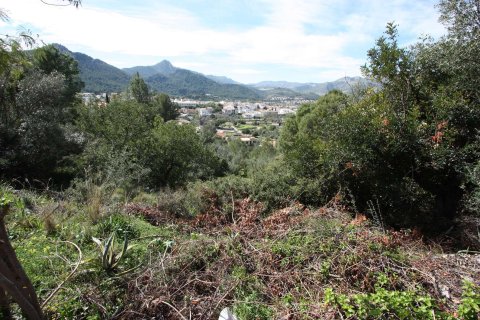 Land plot in Orba, Alicante, Spain No. 183940