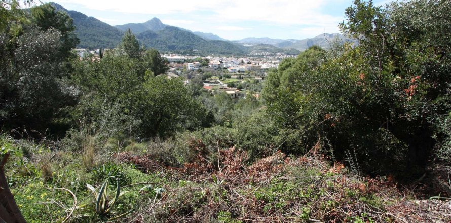 Terreno a Orba, Alicante, Spagna N° 183940