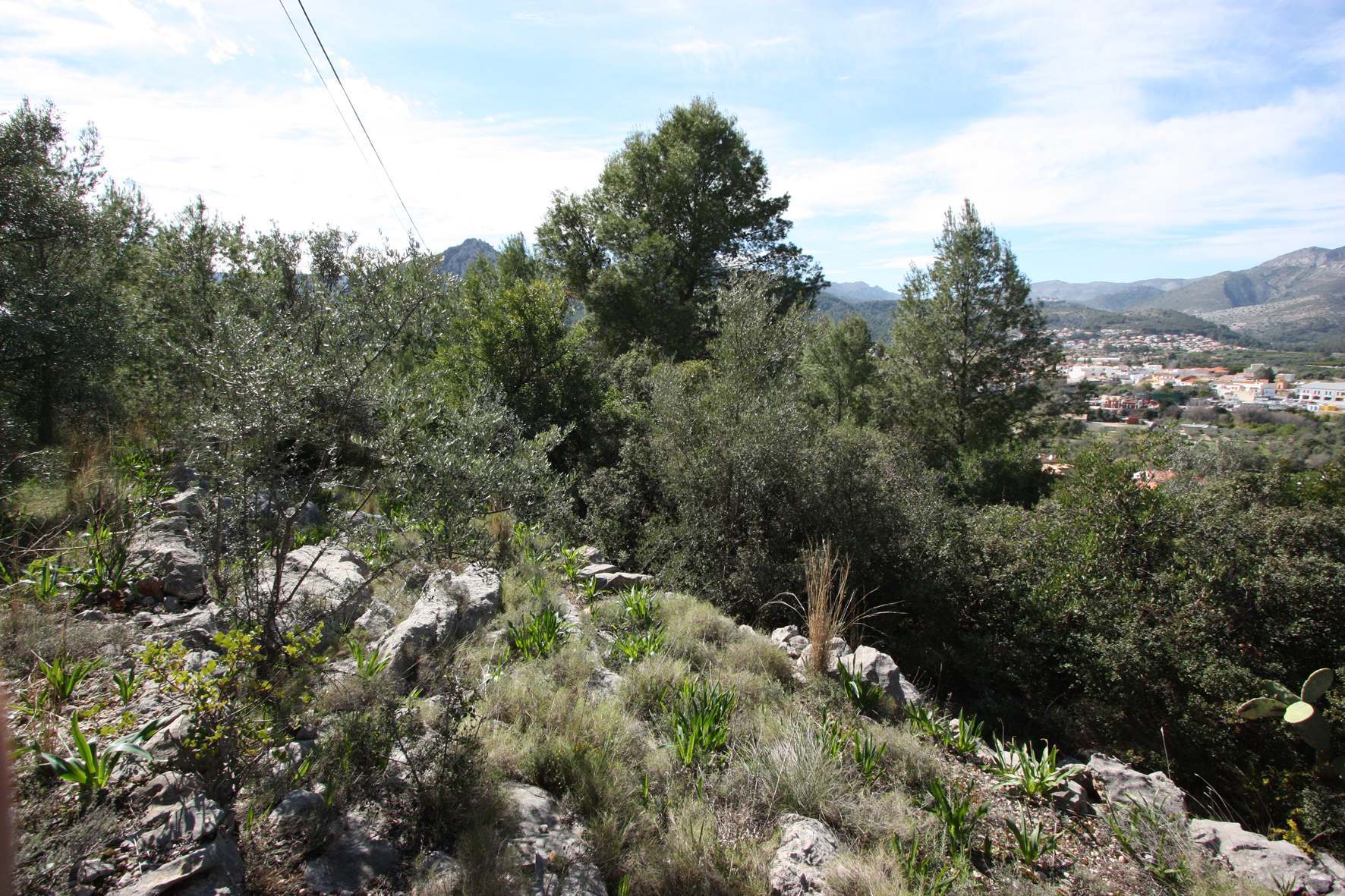 Land plot in Orba, Alicante, Spain No. 183940