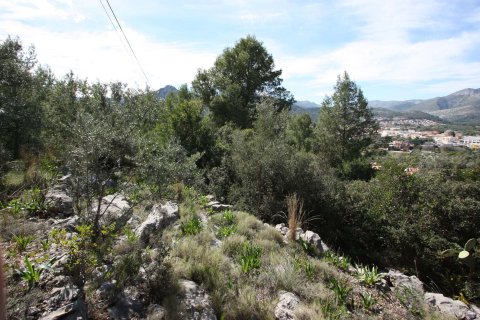 Terreno in vendita a Orba, Alicante, Spagna N° 183940 - foto 5