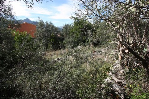 Terreno in vendita a Orba, Alicante, Spagna N° 183940 - foto 4
