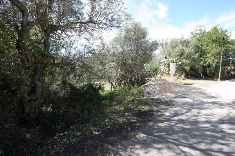 Terreno in vendita a Orba, Alicante, Spagna N° 183940 - foto 10