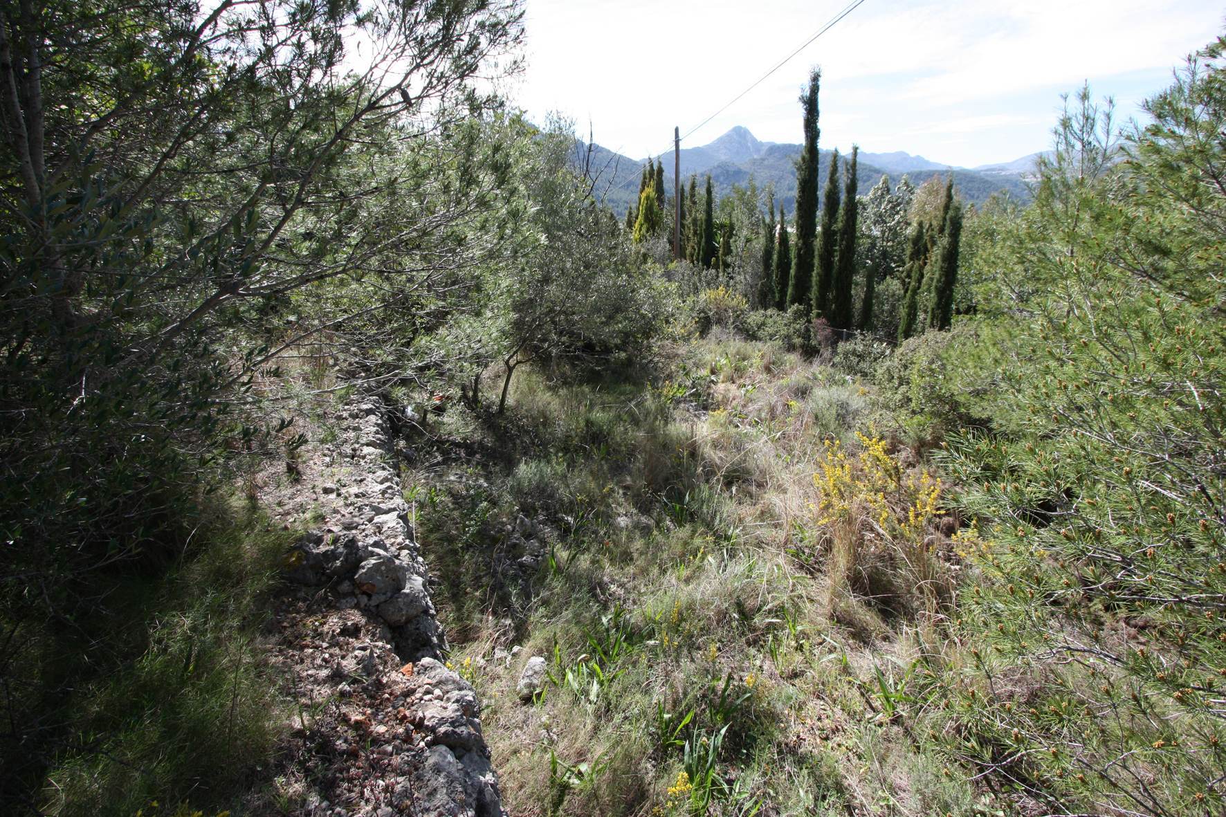 Land plot in Orba, Alicante, Spain No. 183940