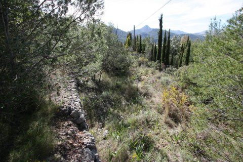 Terreno in vendita a Orba, Alicante, Spagna N° 183940 - foto 6