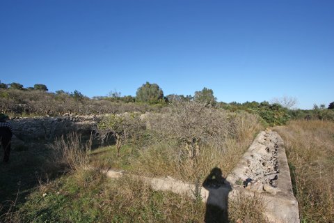 Land zum Verkauf in Benimeli, Alicante, Spanien Nr. 183936 - Foto 2