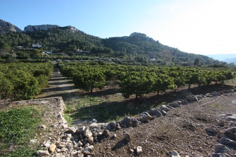 Land zum Verkauf in Benimeli, Alicante, Spanien Nr. 183936 - Foto 4