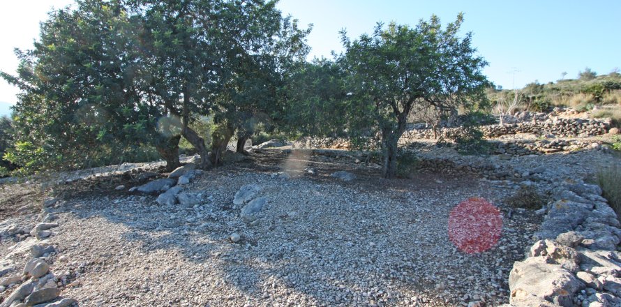 Land in Benimeli, Alicante, Spanien Nr. 183936