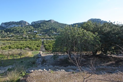 Land zum Verkauf in Benimeli, Alicante, Spanien Nr. 183936 - Foto 5