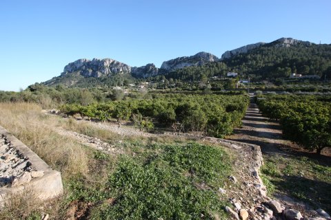 Land zum Verkauf in Benimeli, Alicante, Spanien Nr. 183936 - Foto 3