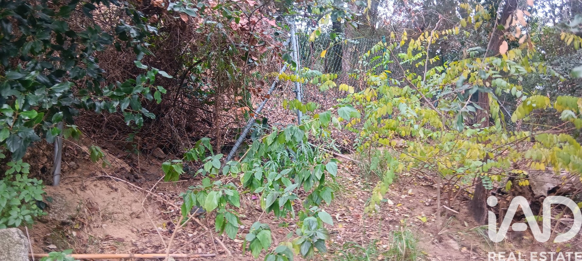 Terreno a Sant Cebria De Vallalta, Barcelona, Spagna 1020 mq. N° 185436