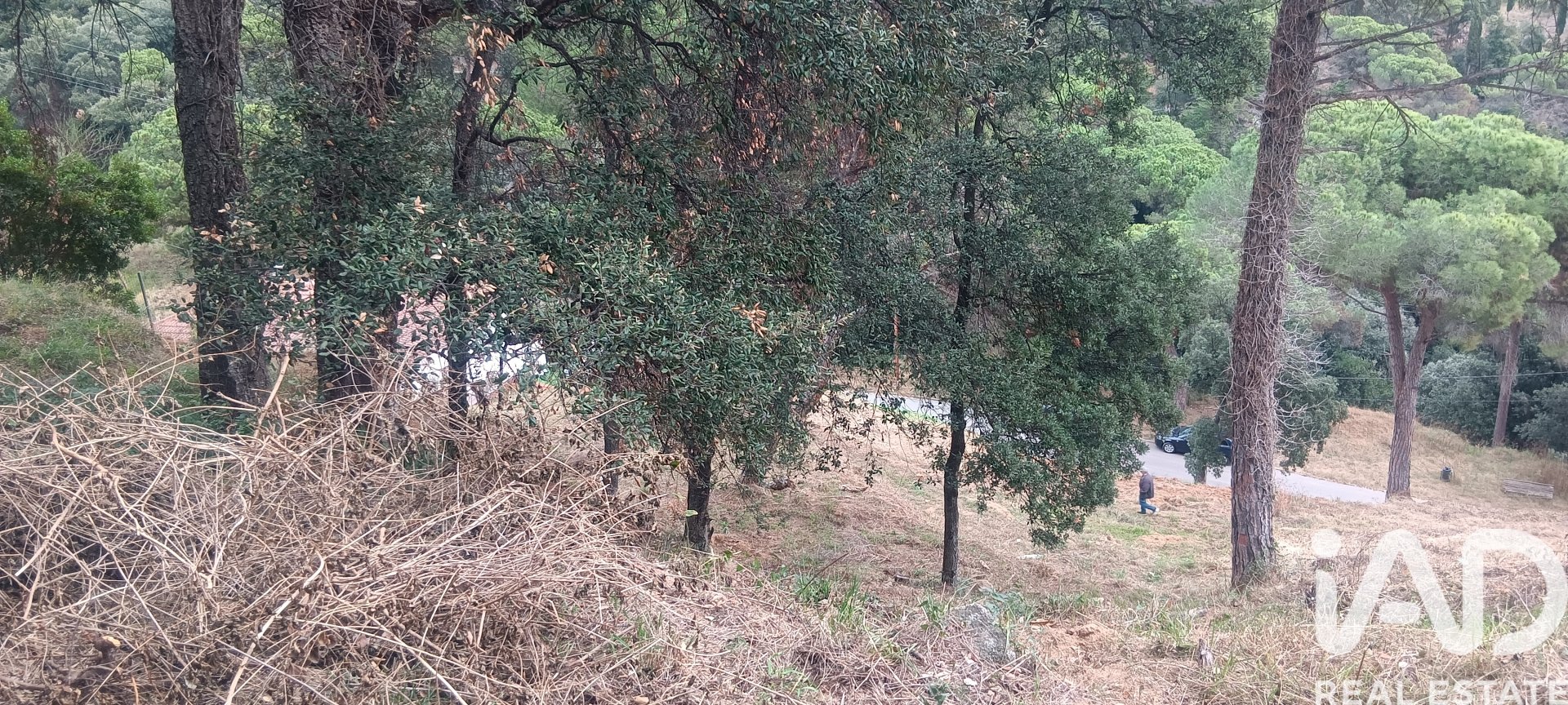 Terreno a Sant Cebria De Vallalta, Barcelona, Spagna 1020 mq. N° 185436