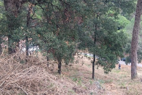 Terreno in vendita a Sant Cebria De Vallalta, Barcelona, Spagna 1020 mq. N° 185436 - foto 2