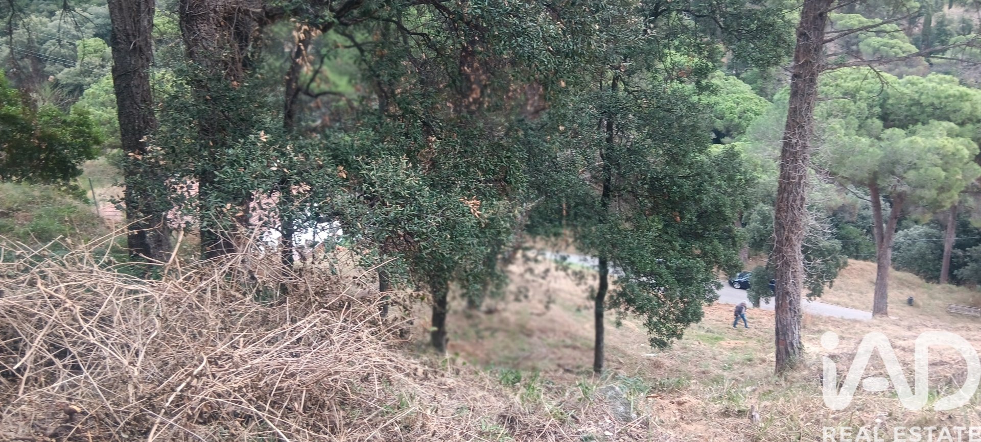 Terreno a Sant Cebria De Vallalta, Barcelona, Spagna 1020 mq. N° 185436