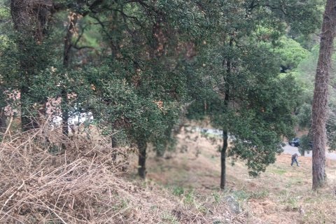 Terreno in vendita a Sant Cebria De Vallalta, Barcelona, Spagna 1020 mq. N° 185436 - foto 4